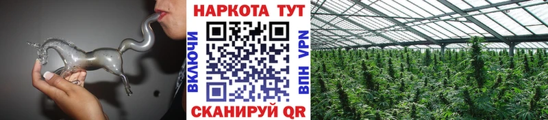 Что такое Оренбург Cocaine kraken ТОР Амфетамин Бошки Шишки Меф