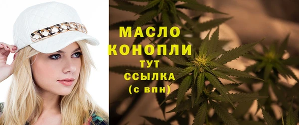 молекула духа Каменск-Шахтинский