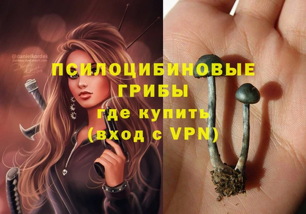 МДМА Каменногорск