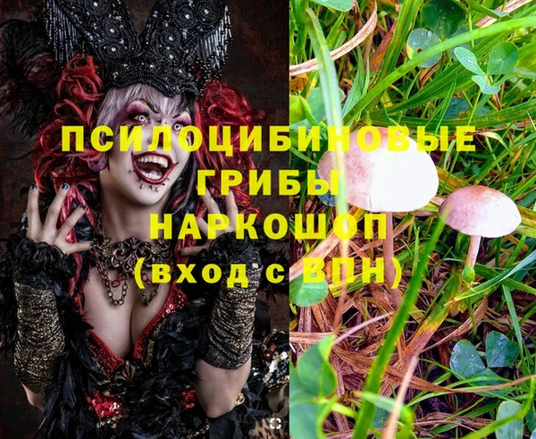 МДМА Каменногорск