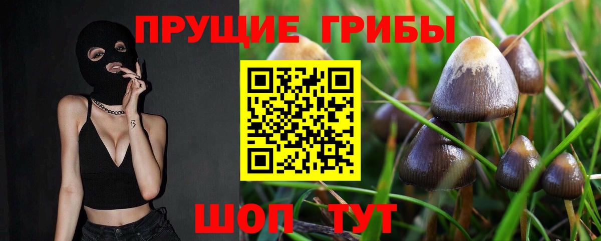 Оренбург  Псилоцибиновые грибы Magic Shrooms  Вход с VPN  Галлюциногенные грибы мухоморы 